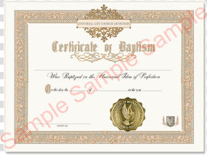 Certificate Of Baptism   Universal Life Church Marriage Certificate  HD Png Download