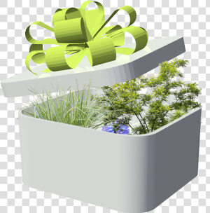 Flowerpot  HD Png Download