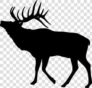 Elk  Deer  Silhouette  Animal  Mammal  Antler  Wildlife   Elk Clipart Black And White  HD Png Download