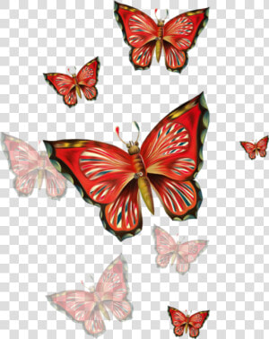  freetoedit  red  butterflies   Днем Рождения Дочери От Мамы  HD Png Download