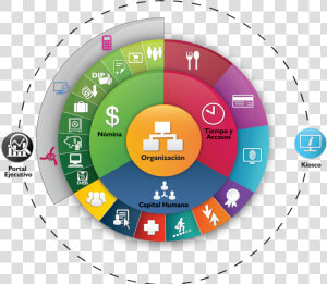 Sistema Integral Eslabón   Png Download   Circle  Transparent Png