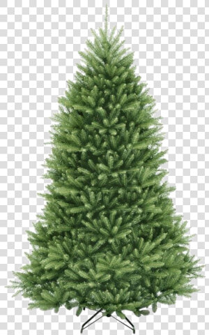 Fir Tree Png Pic   Christmas Tree  Transparent Png