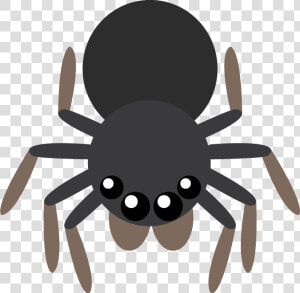 Tarantula  HD Png Download