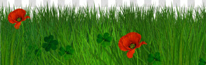 Free Transparent Grass Texture Seamless Png   Transparent Grass Border  Png Download