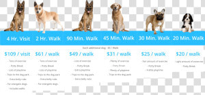 Barkbud Pricing Table   Guard Dog  HD Png Download