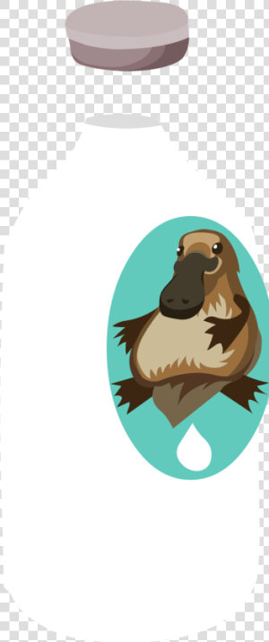 This Free Icons Png Design Of Misc Milk Platypus     Punxsutawney Phil  Transparent Png