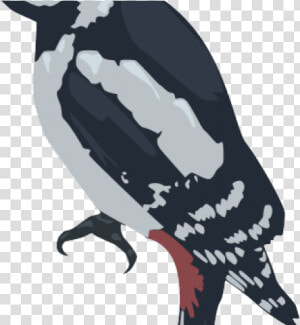 Woodpecker Png Transparent Images   Adã©lie Penguin  Png Download