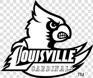 Louisville Cardinals Logo Black And White   Louisville Cardinals  HD Png Download