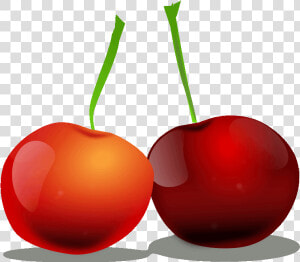 Transparent Cherry Clipart   Cherry  HD Png Download