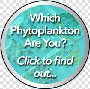 Phytoplankton Quiz Emblem   Circle  HD Png Download