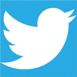 Twiter   Twitter Icon Transparent  HD Png Download