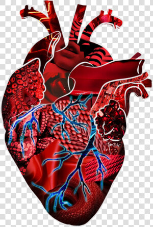 Heart Beating Gif Transparent  HD Png Download