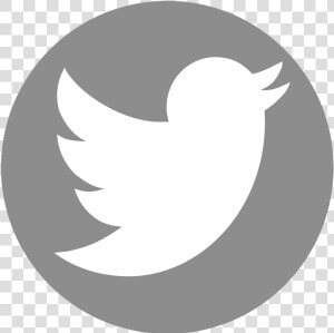 Logo Twitter Circle Grey   Current Twitter Logo Png  Transparent Png