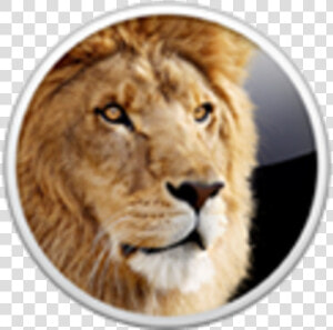 Os X Lion   Mac Os X Lion Icon  HD Png Download