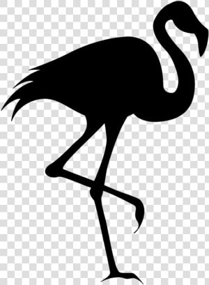 Flamingo Silhouette Clip Art   Silhouette Flamingo Clipart  HD Png Download