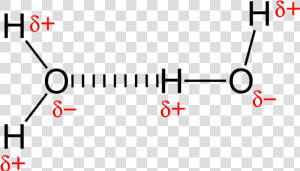 Hydrogen Bonding In Water 2d   Hydrogen Bonding  HD Png Download