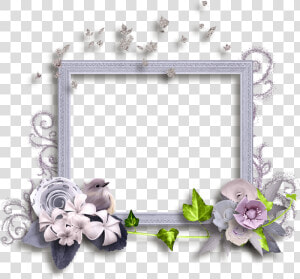 Фотки Halloween Frames  Christmas Frames  Boarders    Picture Frame  HD Png Download