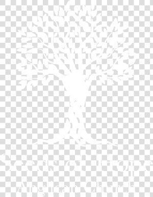 Seeds Of Hope Logo White   Johns Hopkins Logo White  HD Png Download