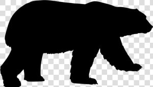 Polar Bear American Black Bear Clip Art Grizzly Bear   Polar Bear Silhouette Vector  HD Png Download