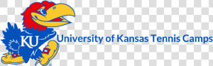 University Of Kansas Tennis Camps   Kansas Jayhawks Logo Png  Transparent Png