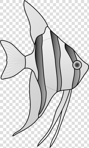 Black And White Angel Fish   Angelfish Clip Art  HD Png Download