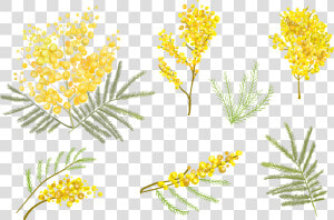 Free Flower Vector Clipart Banner Black And White Flower   Watercolor Yellow Flower Background  HD Png Download