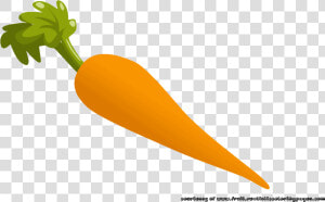 Carrots Clipart Edible Root   Carrot  HD Png Download