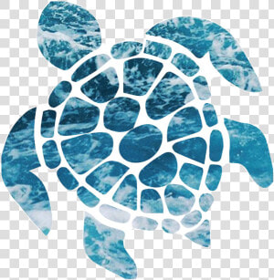  cute  turtle  ocean  blue  pretty  sticker  niche   Ocean Sea Turtle Sticker  HD Png Download