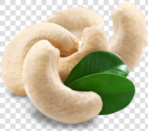 Cashew Png Transparent Images   Kaju 210  Png Download