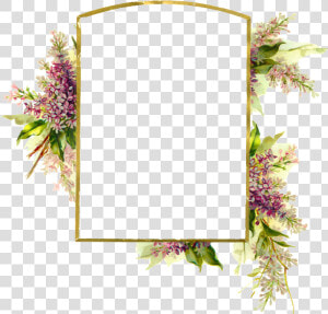 Floral Frame Png   Transparent Background Floral Frame  Png Download