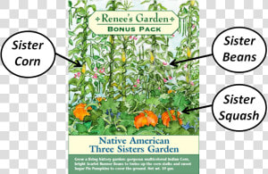 Sisters Garden Native Americans  HD Png Download