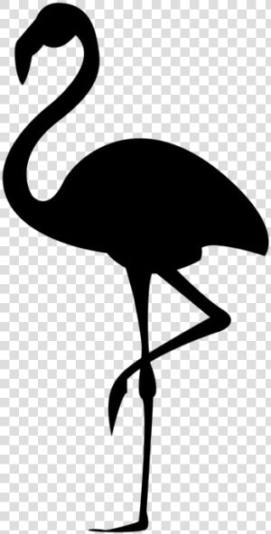 Flamingo Silhouette Stencil   Silhouette Flamingo Clipart  HD Png Download