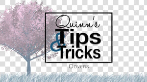 Quinn S Tips  amp  Tricks   Graphic Design  HD Png Download