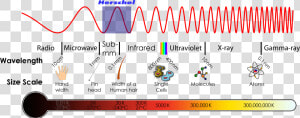 The Electromagnetic Spectrum   Infrared Radiation On The Electromagnetic Spectrum  HD Png Download