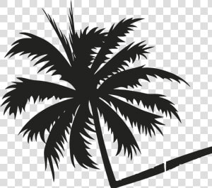 Transparent Palmeira Png   Coconut Tree Vector Background  Png Download