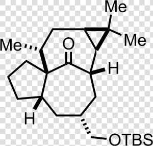 Intermediate Structure   Methyl 6 Methyl 4    4 Methylphenyl    2 Oxo 1 2 3  HD Png Download