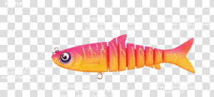 Mullet Png  Transparent Png