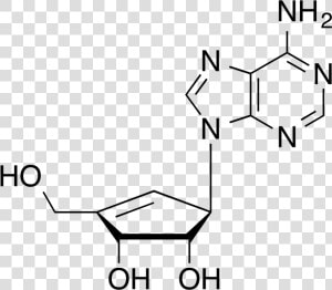 Neplanocin A   Adénosine Monophosphate Ph 7  HD Png Download