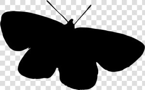 Transparent Butterfly Clipart Png Black And White   Brush footed Butterfly  Png Download