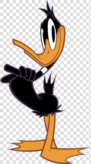 Daffy Duck Free Pictures   Looney Tunes Show Daffy Duck  HD Png Download