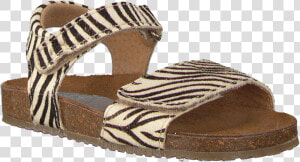 Brown Clic Sandals Cl Grass   Slide Sandal  HD Png Download