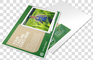 Farmers Insurance Agent Postcard Template Preview   Printing  HD Png Download