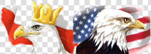 Toledo Polish american Festival   Polish And American Eagle  HD Png Download