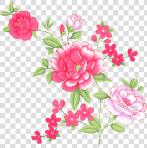 Garden Roses   Png Download   Garden Roses  Transparent Png