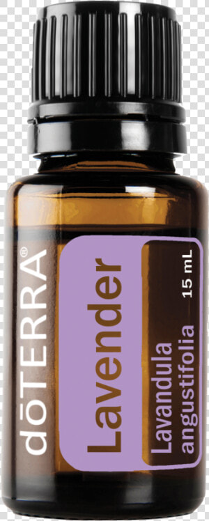 Doterra Lavender Png   Geranium Doterra  Transparent Png