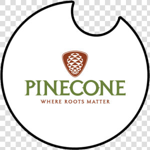 Pinecone  HD Png Download