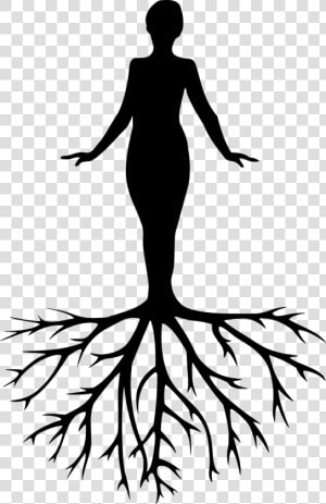 Women Tree Yoga Free Photo   Meditation Silhouette  HD Png Download