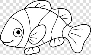 Nemo Fish Png Black And White   Clown Fish Clipart Black And White  Transparent Png