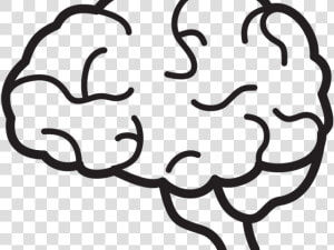 Brain Png Transparent Images   Brain Black And White Png  Png Download