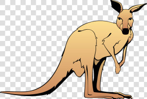 Kangaroo Animal Clipart Free Images   Kangaroo Clipart  HD Png Download